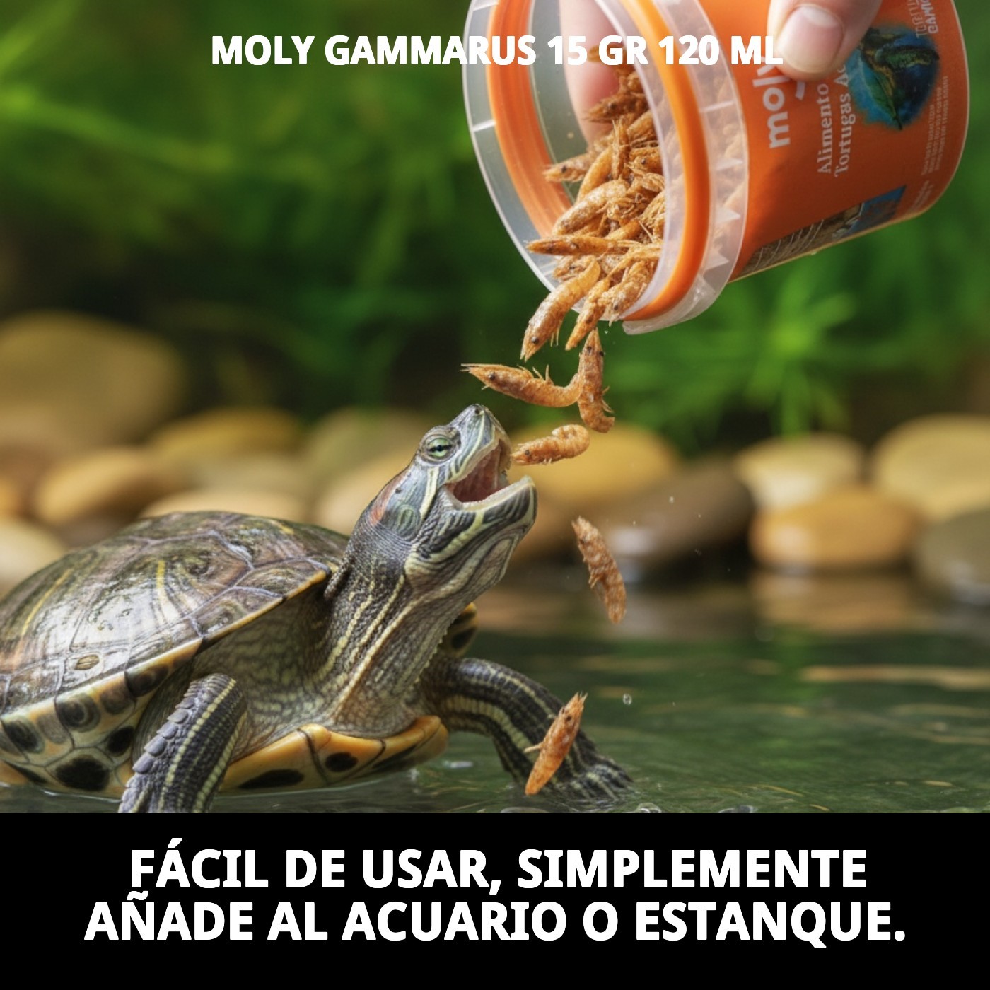 Moly Gammarus 15 g / 120 ml — Foto 6