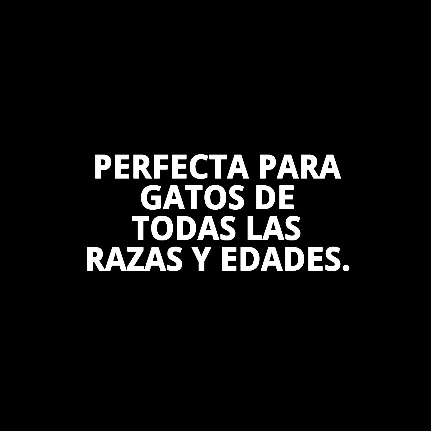 Moly Katzenhaus Cathy Easy Clean - 56 x 40 x 40 cm — Foto 5